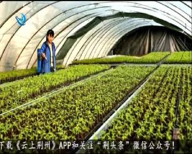 短消息：荆州农业产业化国家重点龙头企业达7家