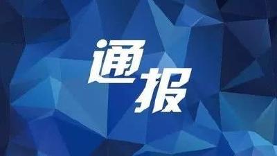 湖北通报四起涉恶涉黑典型案件