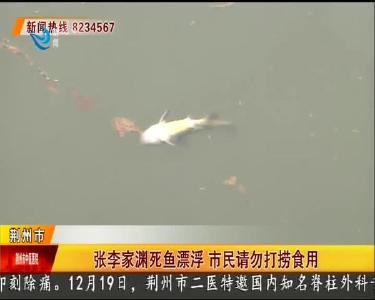 张李家渊死鱼漂浮 市民请勿打捞食用