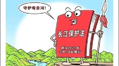 长江保护法将于3月1日起施行 特别的法保护特别的“你”