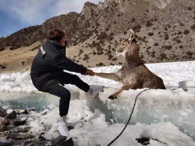 冰天雪地里他们发现一摊血！接下来……