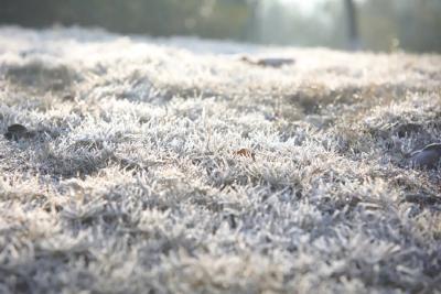 -8℃！一年中最冷的时候到了