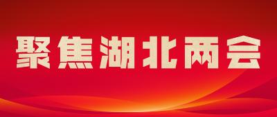 荆州代表团代表向省十三届人大五次会议提交58件议案