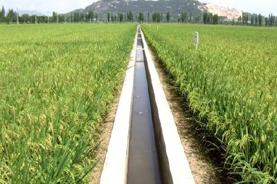 解决用电难 荆州农田灌溉进入“共享电表”时代
