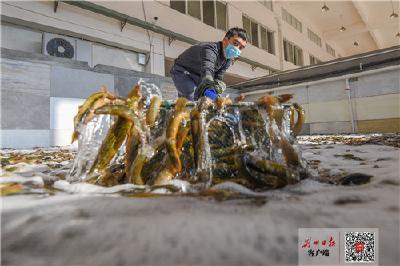 退渔还湖 荆州探索渔业无公害生态养殖模式