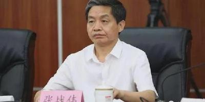 继打政府秘书长耳光被举报后，河南济源市委书记又遭实名举报