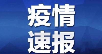 疫情防控不力！黑龙江16人被问责