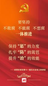 坚定不移推动全面从严治党向纵深发展 应勇在省纪委全会上这样强调