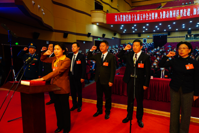 ​新当选国家工作人员向宪法宣誓 周志红领誓 段昌林主持