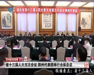 省十三届人大五次会议 荆州代表团举行全体会议