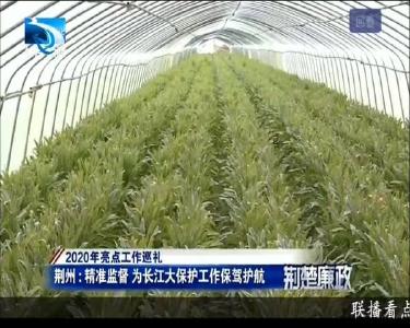 荆州：精准监督 为长江大保护工作保驾护航