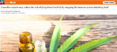 “打疫苗，就送大麻”