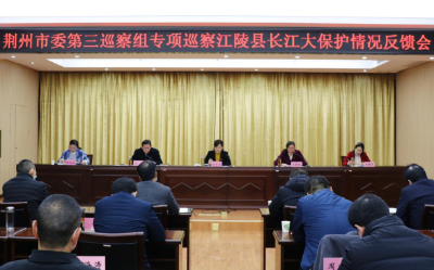 长江大保护专项巡察全面完成反馈
