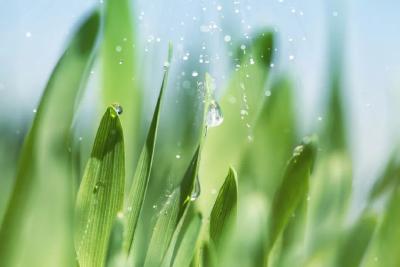 今日雨水！本周最高温或达24℃