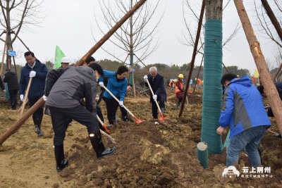 绿满古城画卷舒——“十三五”期间荆州市植树造林工作综述 