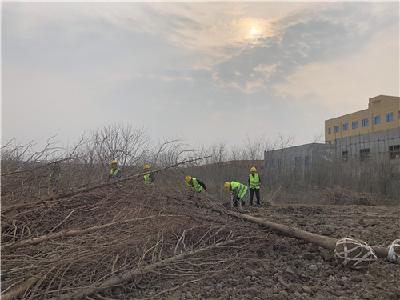 10项绿化工程将添彩荆州开发区 力争在3月底前完成