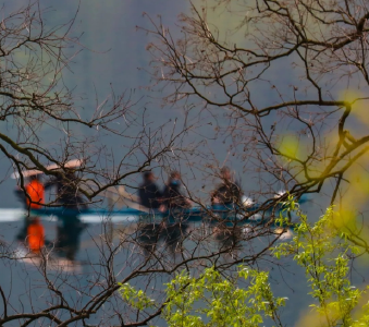 【灵秀湖北·花开四季】湖北松滋：花儿俏，树儿绿，春色正妖娆