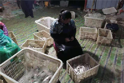 因非法捕捞长湖野生鱼，两村妇被依法拘留