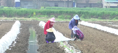 湖北荆州：春耕春播忙起来 不误农时不负春