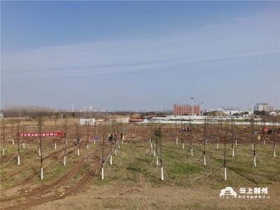 建设美丽荆江 绘就绿满荆州风景蓝图