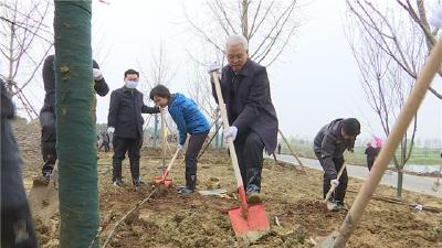 添绿荆州！市“四大家”领导带头义务植树