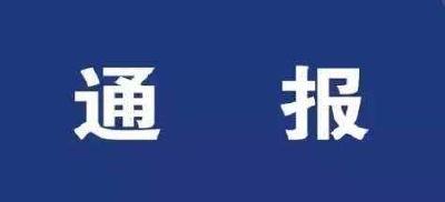 荆门市原农村综合改革领导小组办公室主任何涛被开除党籍和公职并被移送司法机关依法处理