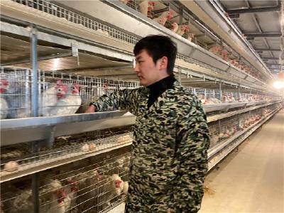 脱贫故事 | 黎邦红：发展蛋鸡养殖产业 走上脱贫致富路