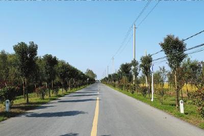 今年，荆州农村公路建设将实现两个1000目标