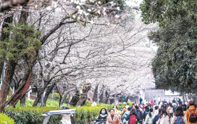 【地评线】东湖评论：春满荆楚花似海  灵秀湖北俟君来