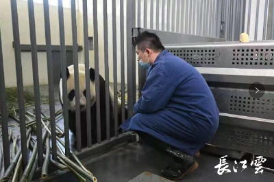 再见~胖妞、春俏