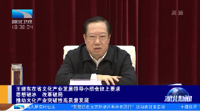 王晓东要求思想破冰 改革破局 推动文化产业突破性高质量发展