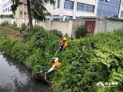 创建卫生城市进行时 | 荆州开发区集中开展市容环境卫生整治行动