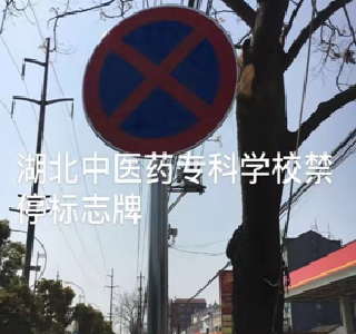 师生出行更安全！荆州完善城区36所学校周边交通设施