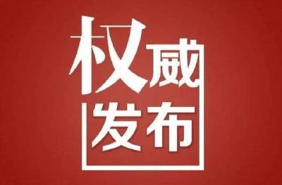 王忠林当选为湖北省省长