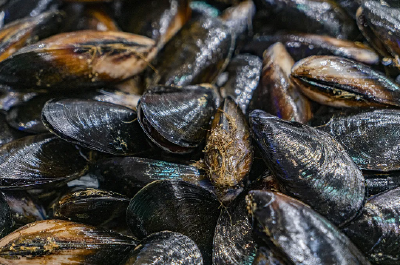 官方提醒！假期去海边，不要食用这种海鲜！