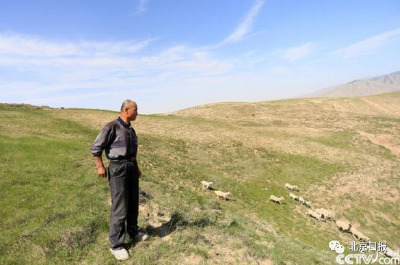 “我还要种地放羊！请大家理解。”