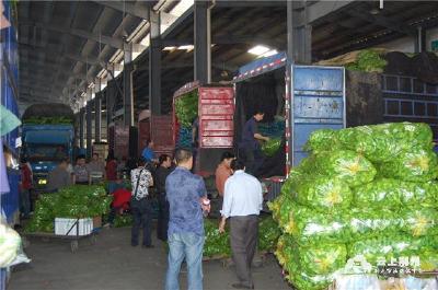 现代化农产品物流交易中心 新绿谷小镇水果市场项目开工！