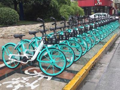小遛、青桔、锂市民……荆州中心城区共享单车服务质量哪家强？最新评分出炉！