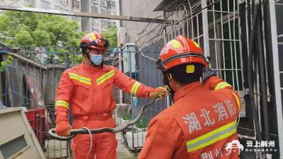 大蛇频繁闯入居民家 荆州消防员一月不到“捉妖”15次