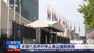 多国代表呼吁停止单边强制措施 
