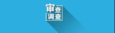 公安县南平镇农村福利院原院长卢春华接受审查调查