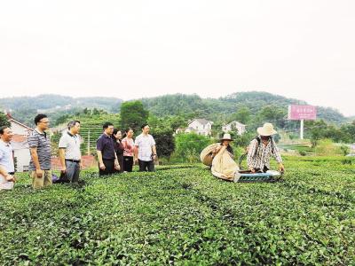 好消息！“宜荆荆恩”农民技术人员可评正高