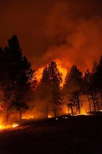 88场大型山火在美国蔓延 近6000平方公里土地被烧毁