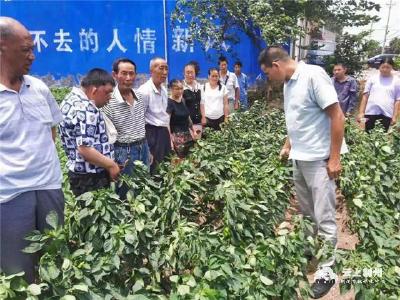 荆州区开展技能培训 为残疾人传授种养殖技术