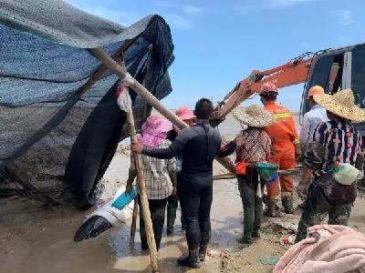 12头鲸鱼搁浅浙江头门港，已有3头死亡