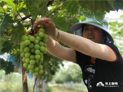 我的小康生活丨荆州开发区滩桥镇武当园村：绘就移民幸福生活新画卷