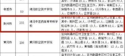 重磅方案公布！荆州招233名大学生村医，8月8日填报志愿