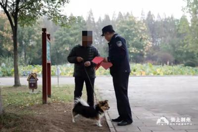 全国文明城市创建进行时|荆州区警方提醒您：文明养犬，别掉“链”！