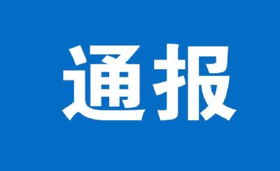 监利市上车湾镇党委委员、副镇长胡旺华被双开