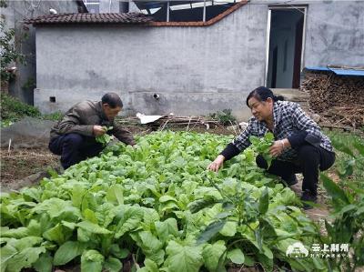 我们的小康生活丨“铜”心协力互相助 岭里乡亲互相富